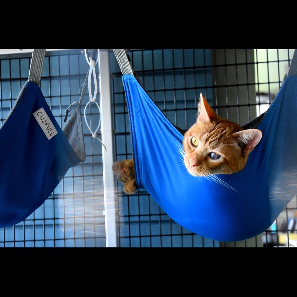 Meet your Posher, Jasmin